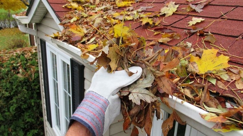 Clean Out Gutters